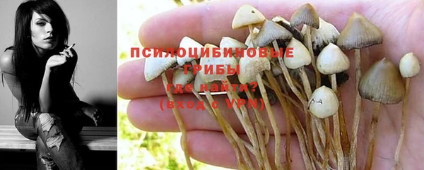 СК Дмитров