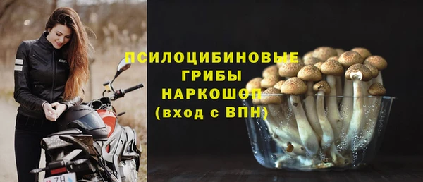 mdpv Дмитриев