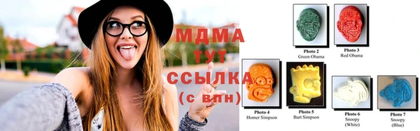 СК Дмитров