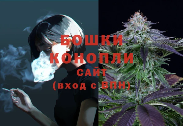 СК Дмитров