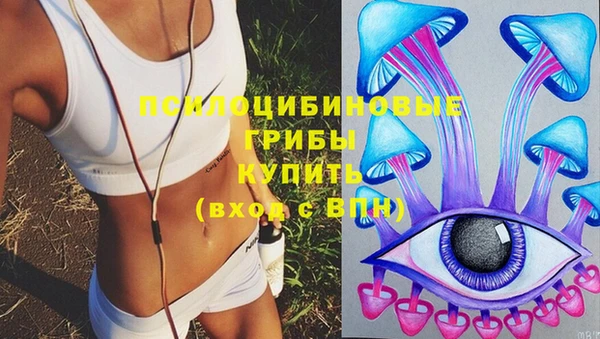 mdpv Дмитриев