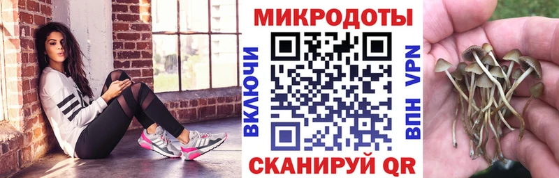 Купить закладки  Сергач  Галлюциногенные грибы ЛСД 